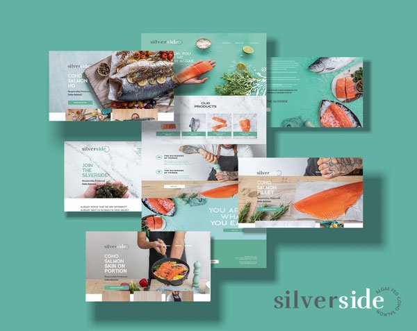 Web Silverside Salmon